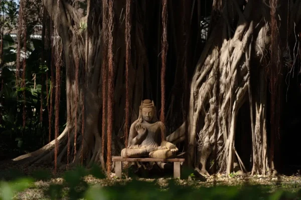 Chiva-Som-Banyan-Tree-with-statue